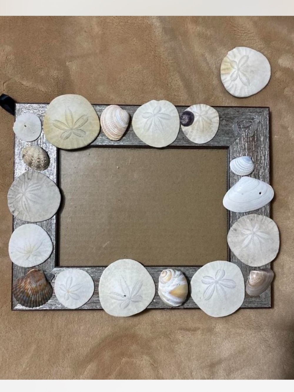 Seashell & Sand Dollar Rustic Frame -
